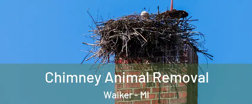Chimney Animal Removal Walker - MI