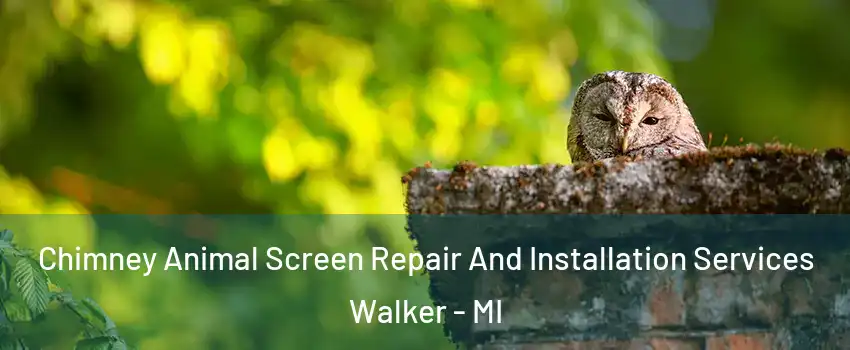  Chimney Animal Screen Repair And Installation Services Walker - MI