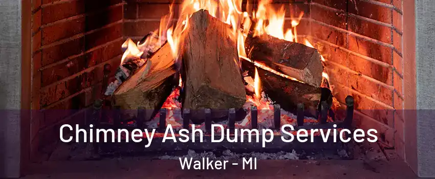  Chimney Ash Dump Services Walker - MI