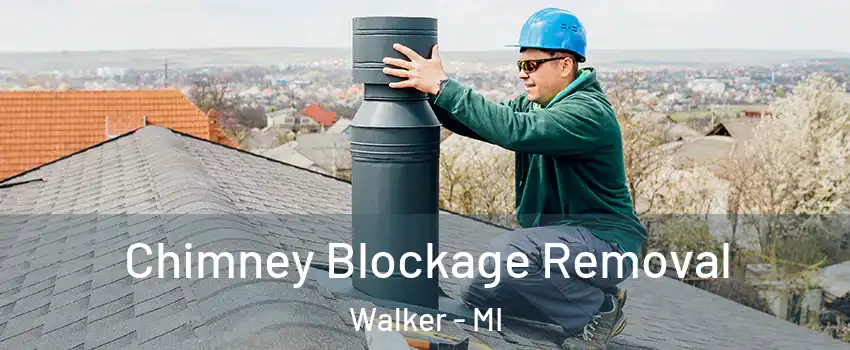  Chimney Blockage Removal Walker - MI