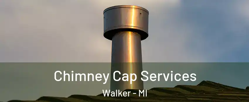  Chimney Cap Services Walker - MI