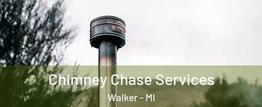  Chimney Chase Services Walker - MI