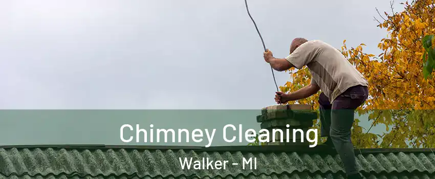  Chimney Cleaning Walker - MI