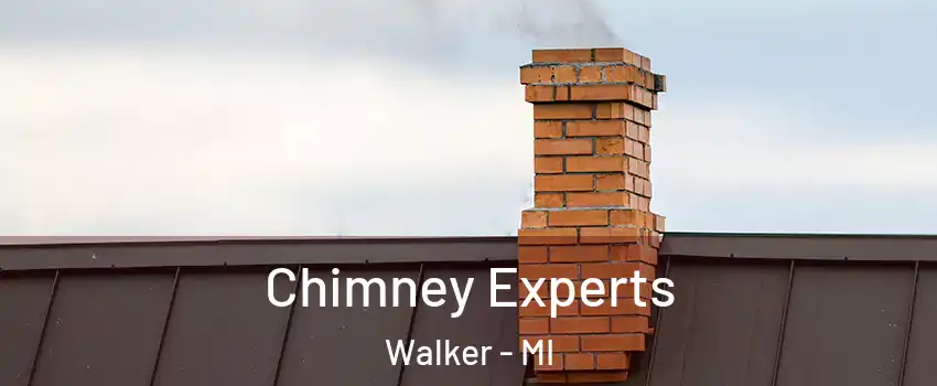 Chimney Experts Walker - MI