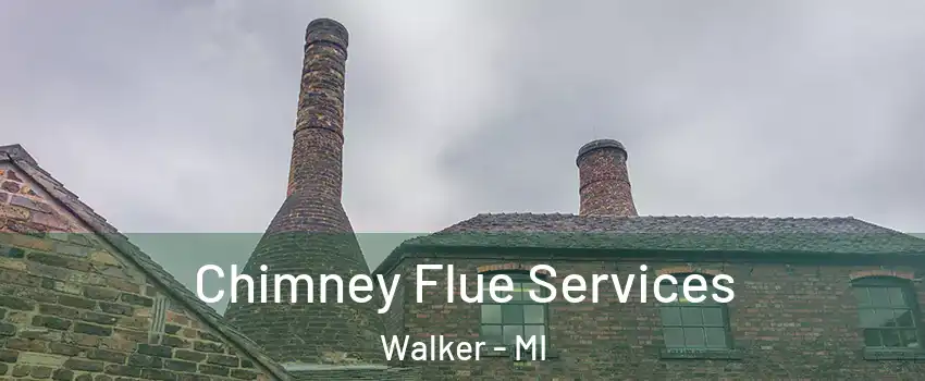  Chimney Flue Services Walker - MI