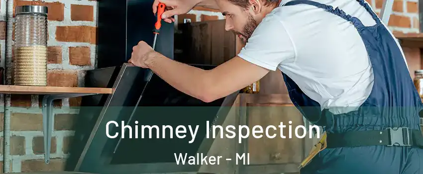  Chimney Inspection Walker - MI
