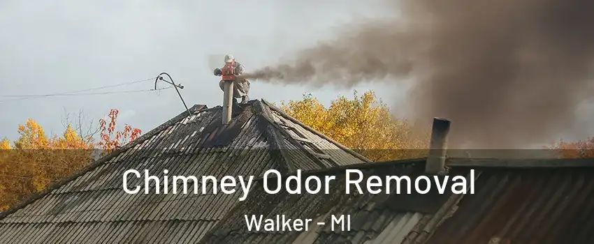  Chimney Odor Removal Walker - MI
