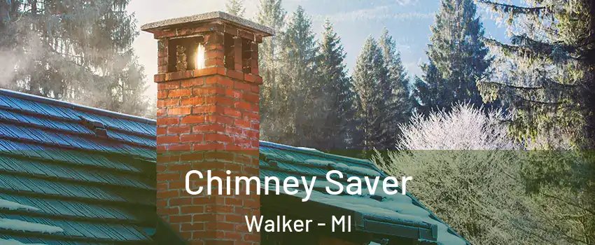  Chimney Saver Walker - MI