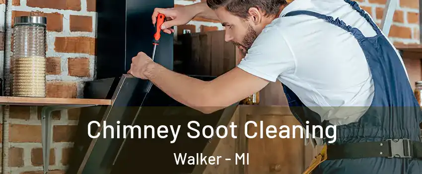  Chimney Soot Cleaning Walker - MI
