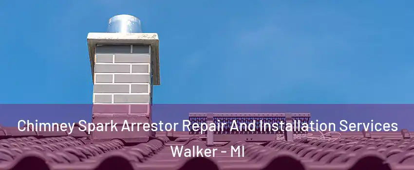 Chimney Spark Arrestor Repair And Installation Services Walker - MI