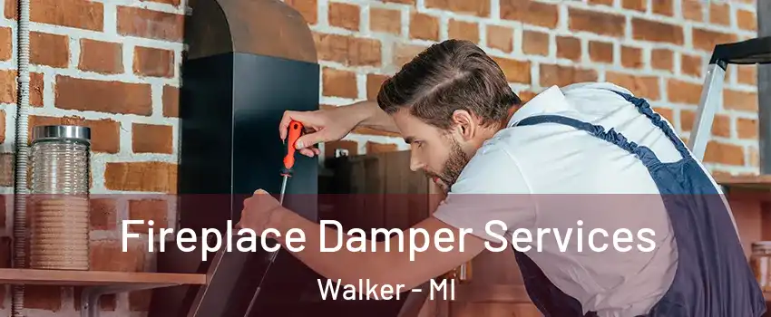  Fireplace Damper Services Walker - MI