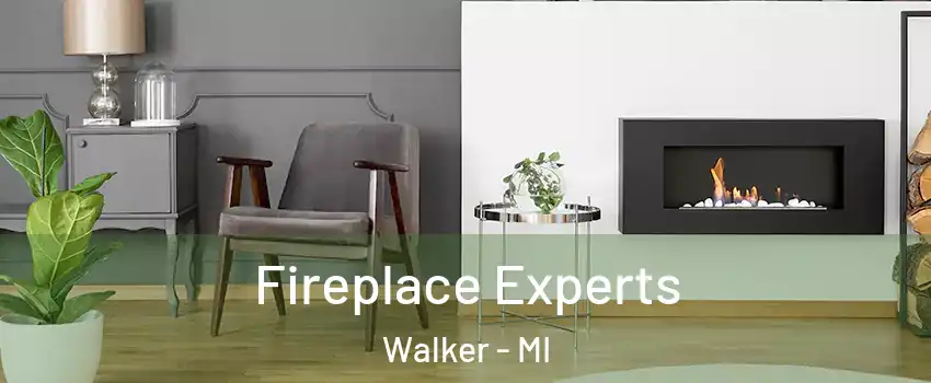  Fireplace Experts Walker - MI