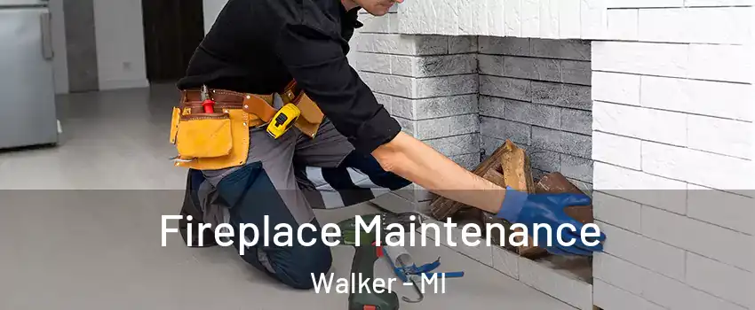  Fireplace Maintenance Walker - MI