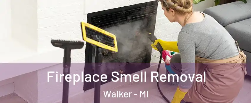  Fireplace Smell Removal Walker - MI