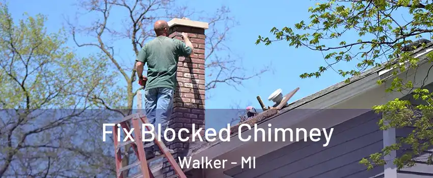  Fix Blocked Chimney Walker - MI