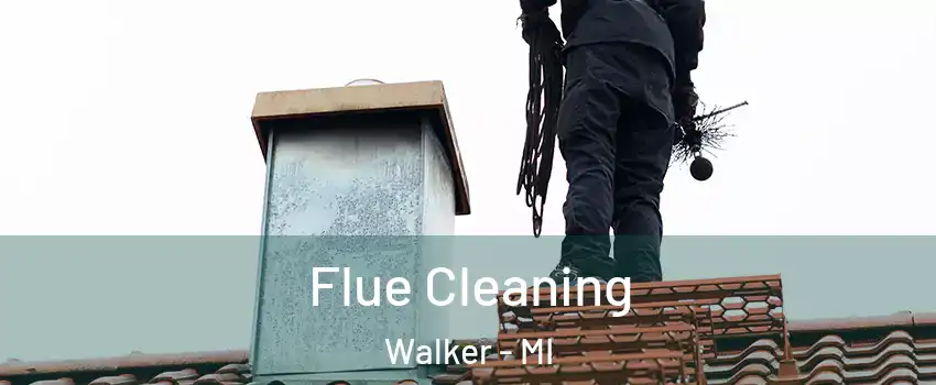  Flue Cleaning Walker - MI