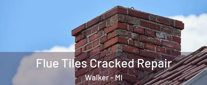  Flue Tiles Cracked Repair Walker - MI