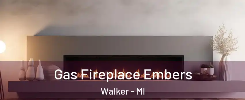  Gas Fireplace Embers Walker - MI