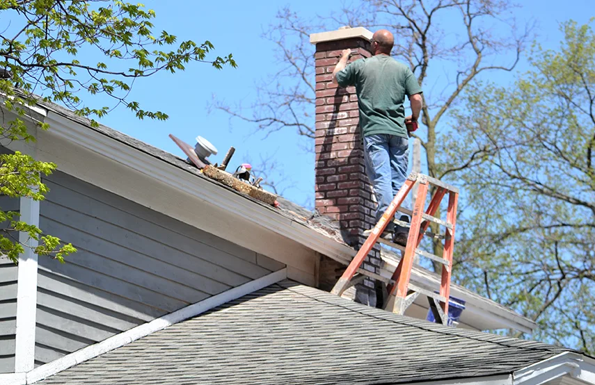 Chimney & Fireplace Inspections Services in Walker, MI