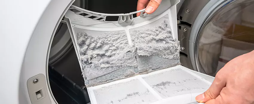 Best Dryer Lint Removal Company in Walker, Michigan