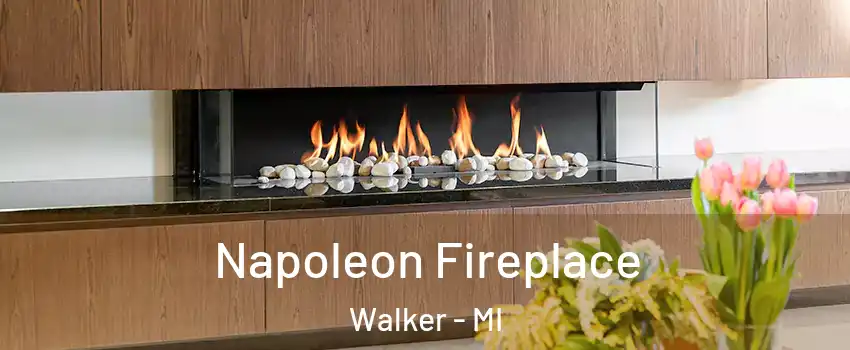  Napoleon Fireplace Walker - MI