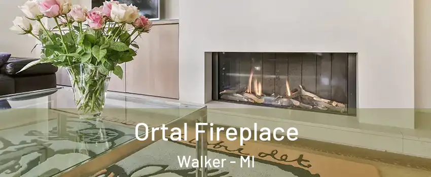  Ortal Fireplace Walker - MI