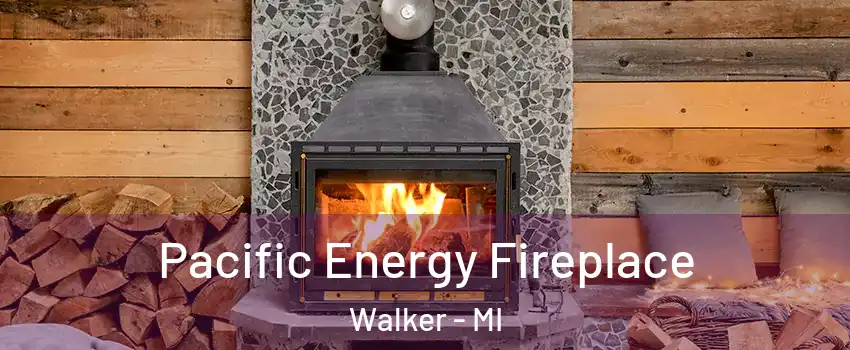  Pacific Energy Fireplace Walker - MI