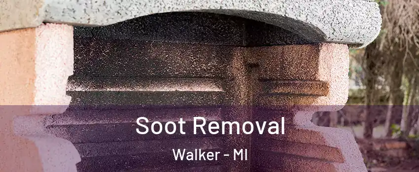  Soot Removal Walker - MI